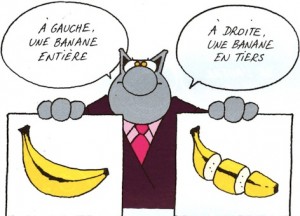 le chat_banane